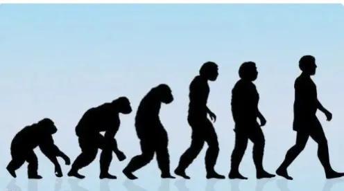 人类进化过程是什么（人类进化过程所经历的几个阶段）