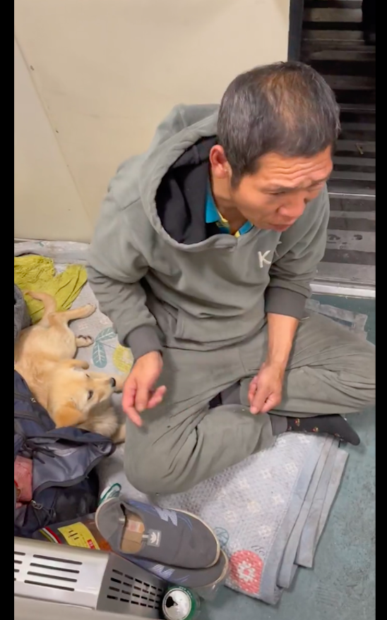 男子带小狗回家过年在火车上打地铺，宠物可不可以坐火车