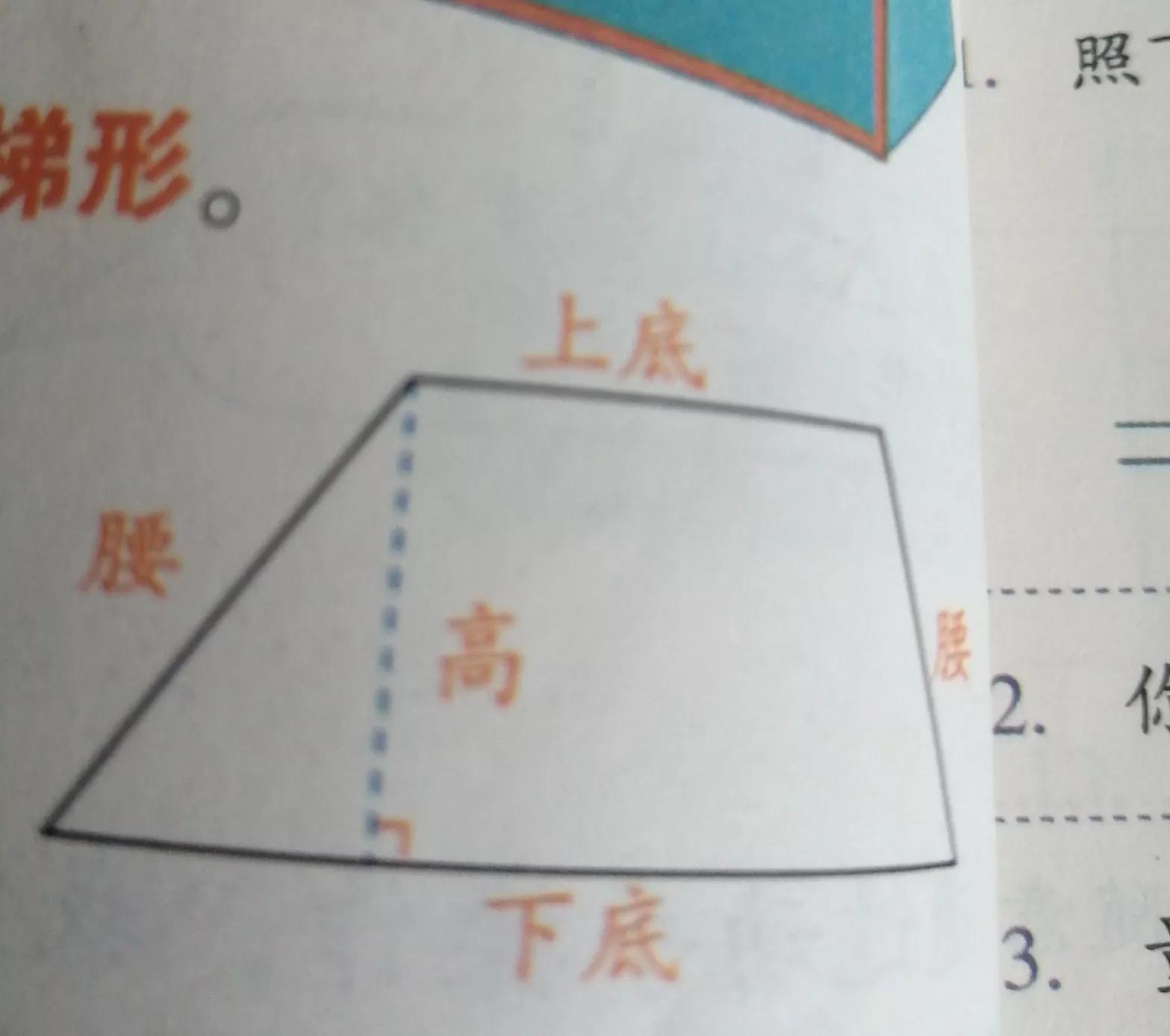 梯形是特殊的平行四边形吗
