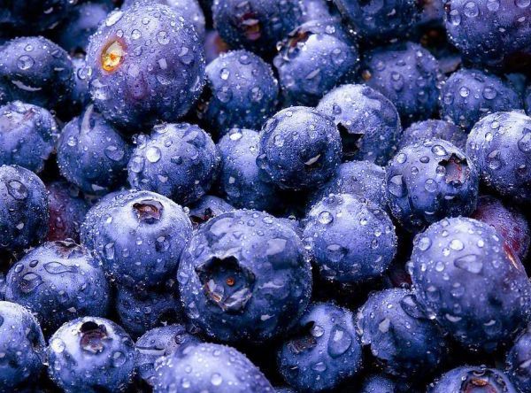 夏天吃什么水果有利于身体
